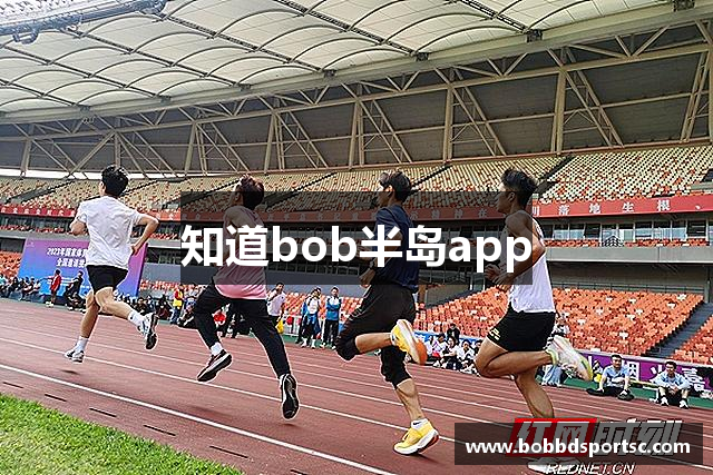 知道bob半岛app